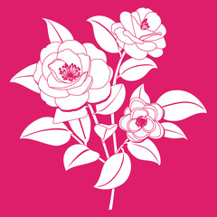 Stylized camellia flower. Vector illustration.