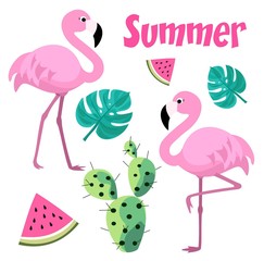 Set of tropical elements with flamingos, cactus and tropical leaves. Vector illustration.