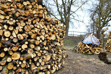 Firewood of different varieties for home heating in winter season. Pile of logs for kindling. Eco-friendly fuel.