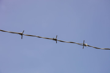 Metal barbed wire