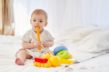 Toddler baby playing with toys, tastes them.