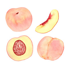 Watercolor set with large peaches isolated on a white background. Half a peach with a stone, a whole peach, a quarter peach.

