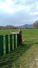 paysages de printemps en Alsace, prairies, France