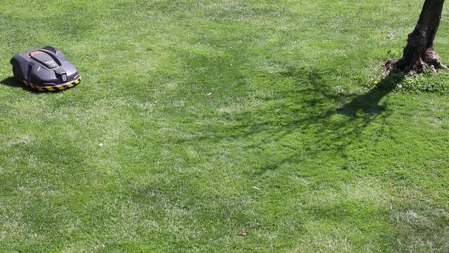 An automatic lawn mower. The little lawn robot is an auto mower and moves autonomously in the garden cutting all the grass