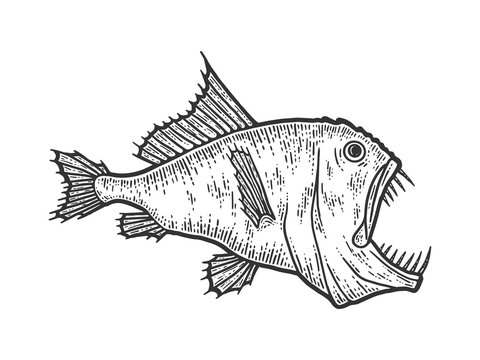 Deep sea predatory fish, scary animal. Sketch scratch board imitation.