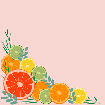 Vector image of a corner of the frame of the citrus. For decoration of postcards, invitations, Botanical illustrations, wrapping paper, Wallpaper, kitchen accessories, dishes, pillows.