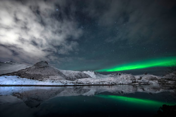 Polarlicht über einem Fjord der Lofoten - Norwegen