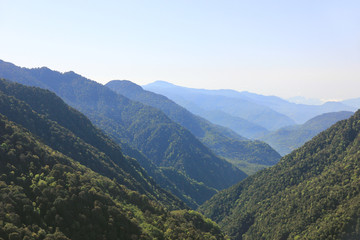 Mountain landscape, mountains covered with green trees