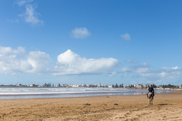 Fototapeta na wymiar quiet beach with a rider riding a horse