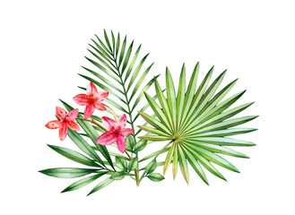 Watercolor tropical bouquet. Floral arrangement with small orchid flowers and big palm leaves. Colourful exotic plants isolated on white. Botanical hand drawn illustration
