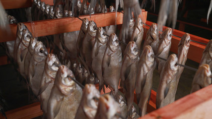 Fototapeta na wymiar Mass drying of dried fish at a fish factory. Dried cod at a Norwegian fish factory
