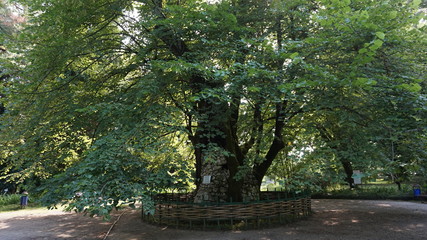 Sukhumi Botanical Garden