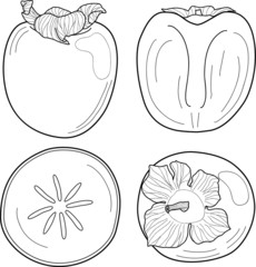 Outline set of Persimmon fruit vector icons for web design isolated on white background