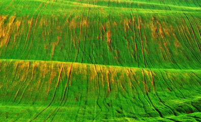 hilly field. abstract rural landscape. spring theme wallpapers