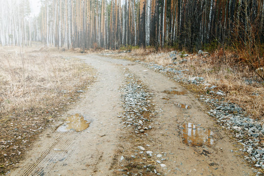 An old road with rocks and mud with puddles. Dirt road in the forest with mud.