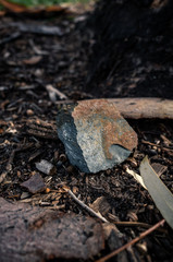 Rock in the forest