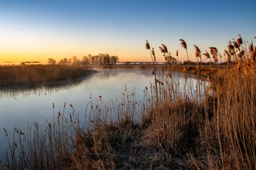 Poranek w Dolinie Narwi. Rzeka Narew. Magia Podlasia, Polska © podlaski49