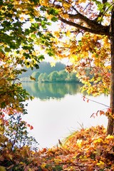View through the autumn leaves on the lake