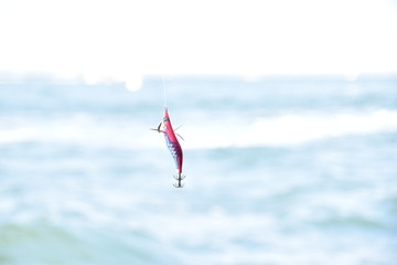 kite flying in the sky