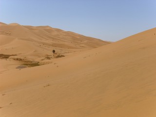 Fototapeta na wymiar sand dunes in the sahara