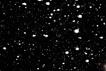 Small white snowflakes fall from the night sky. Snowfall in winter on a black background. Magic night.
