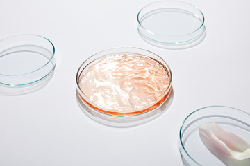 High view of laboratory glassware set with liquid and rose petal on grey background