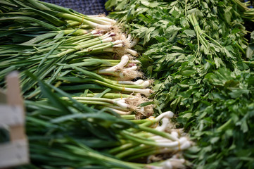 Fresh vegetables are seen in a supermarket. Green onion detail and parsley closeup