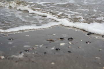 waves on the beach
