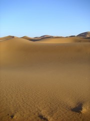 desert wasteland sand dune sahara