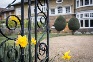 Large expensive British house viewed from garden
