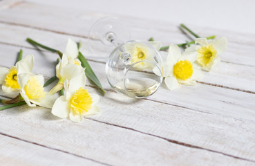 White wine in laying glass among yellow daffodil  flowers on white wooden background