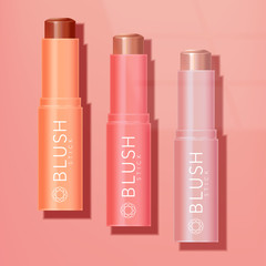 Vector Lipstick / Blush / Balm / Foundation / Contour Stick in Coral Sunlight Background