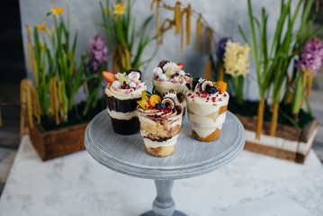 Set of beautiful delicious trifl close - up on the background. Dessert and sweets