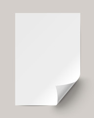 Blank sheet of paper with curled corner.