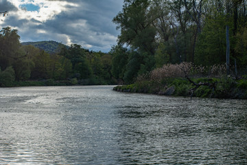 River in riparian woodland with dry grass at riverside.