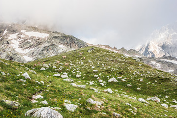 Alpine meadows and rocks in the Caucasus mountains in Russia