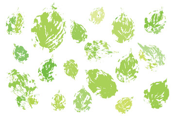 Plantain leaves life prints in fresh green colors. Basis graphics
