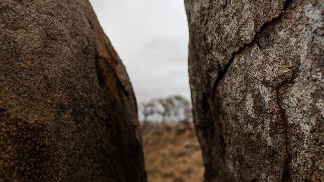 Slow linear push-in dolly timelapse through granite rock boulders focus-pull to show Marula trees on rocky hill in dry bushveld wilderness with grass, Africa landscape in nature reserve, cloudy day.