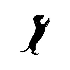 Dachsund. Dog. Standing dog. Logo icon vector.