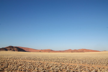Fototapeta na wymiar Dry desert landscape with dunes
