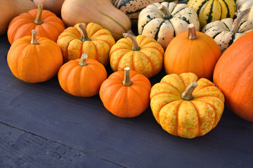 Orange pumpkins collection decoration.