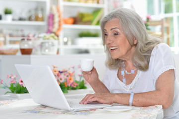 Obraz na płótnie Canvas Portrait of happy senior woman using laptop