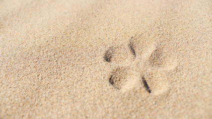
drawings in the sand, sand, footprints in the sand,