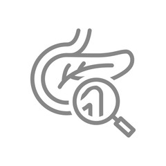 Pancreas with magnifying glass line icon. Human organ research, disease prevention symbol