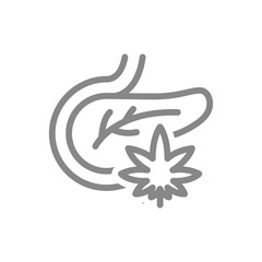 Human pancreas with marijuana leaf line icon. Cannabis treatment, anesthesia symbol
