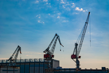 Fototapeta na wymiar Cranes silhouettes in the harbor with blue sky background