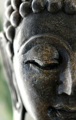 A close up face of the buddha