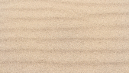 texture of the sand