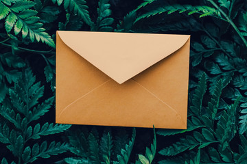 Blank envelope and green leaves in nature, paper card as background, correspondence and newsletter