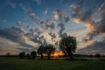 Clouds and Trees © Grzegorz